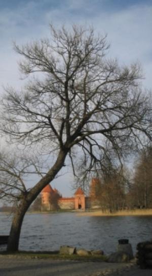 Ezerkiemis Hotell Trakai Exteriör bild