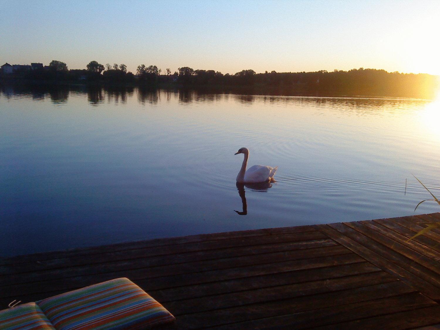 Ezerkiemis Hotell Trakai Exteriör bild